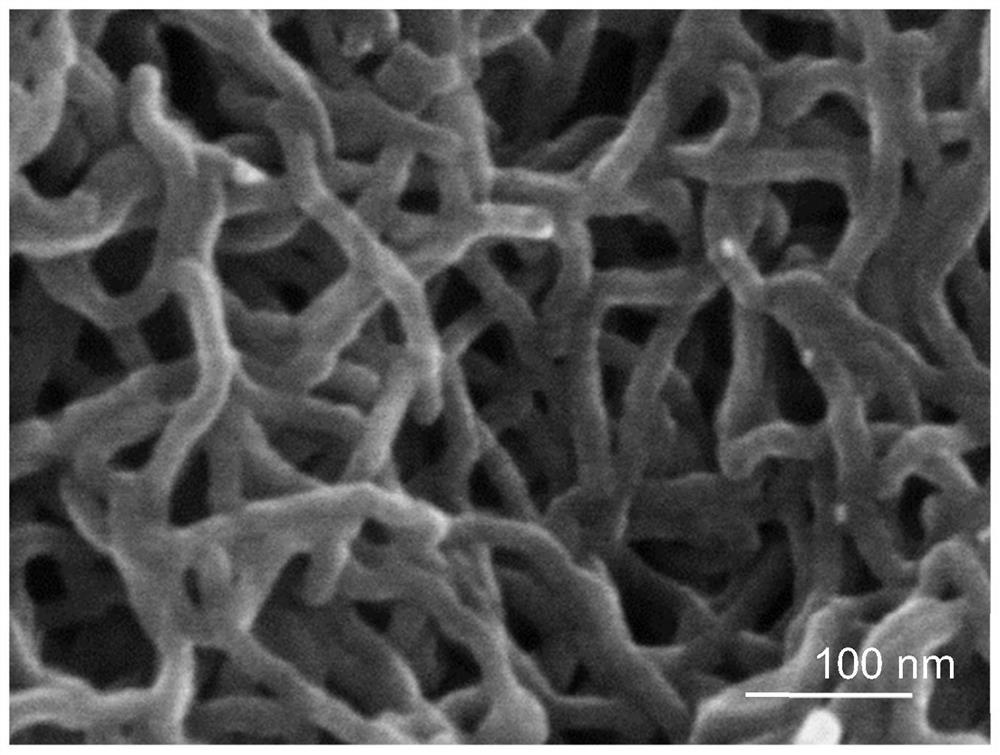 Cobalt-containing monatomic catalyst as well as macro preparation method and application thereof