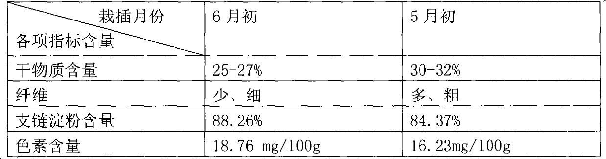 Sweet potato for processing preserved sweet potato and cultivation method and application thereof