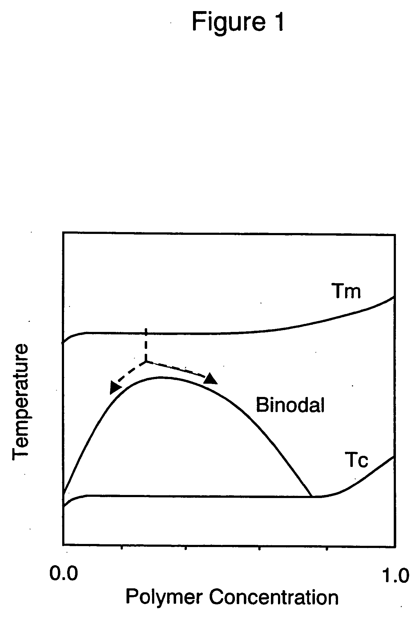 Hollow fiber membrane and method of producing the same