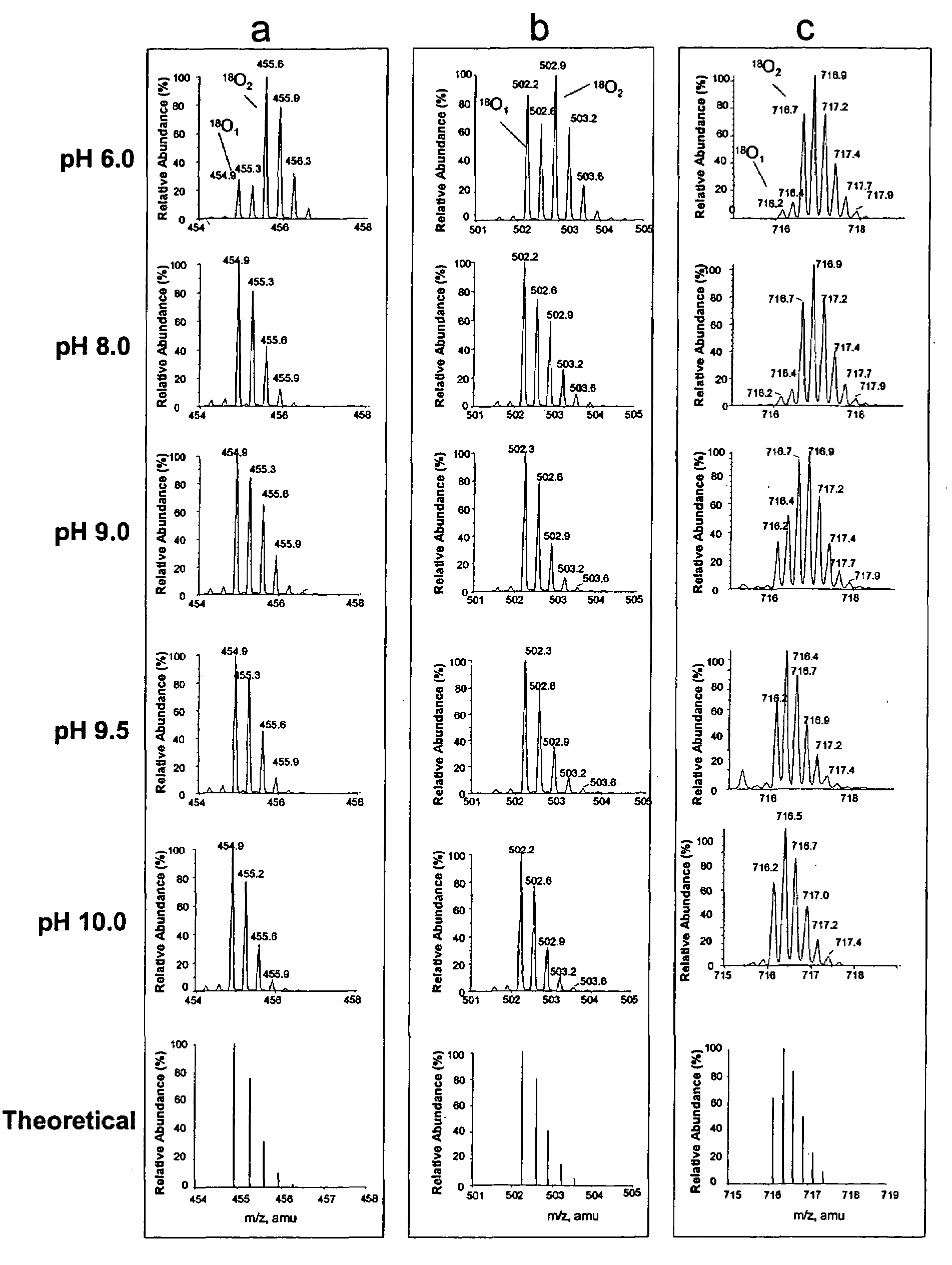 Method for single oxygen atom incorporation into digested peptides using peptidases