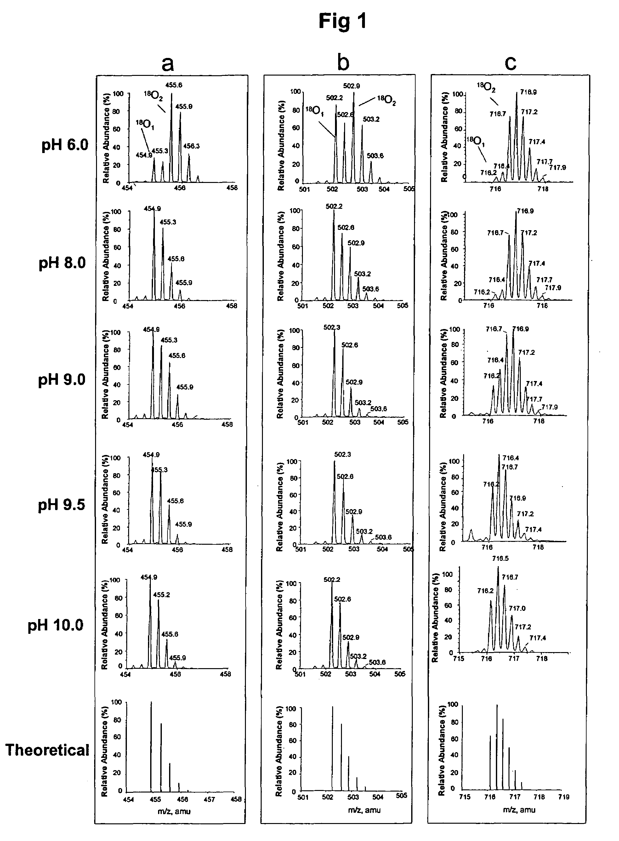 Method for single oxygen atom incorporation into digested peptides using peptidases