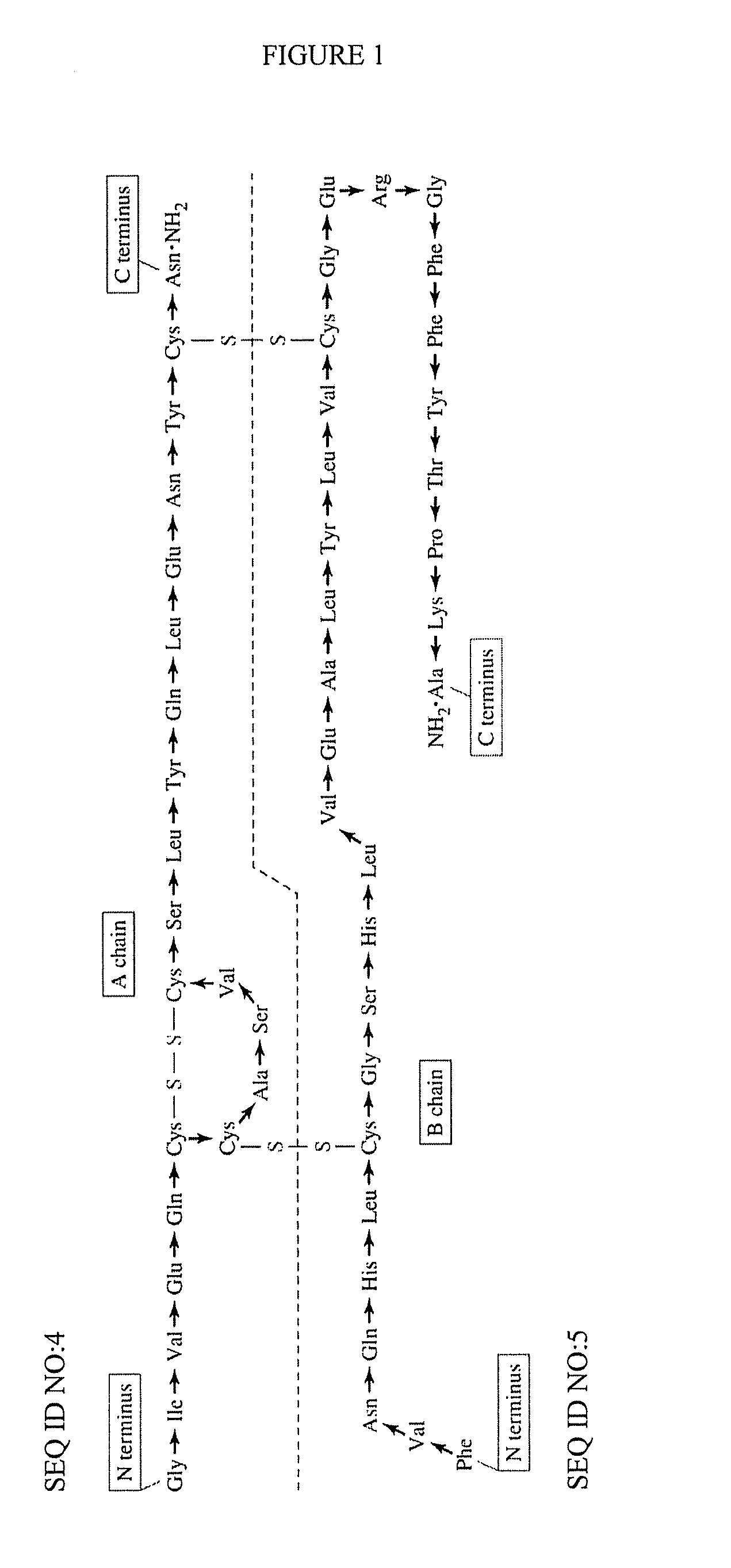 Composition and Method for Increasing Cell Permeability of a Compound