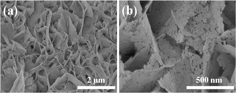 Porous NiO/CeO2 hybrid nanosheet array, and preparation method and application thereof