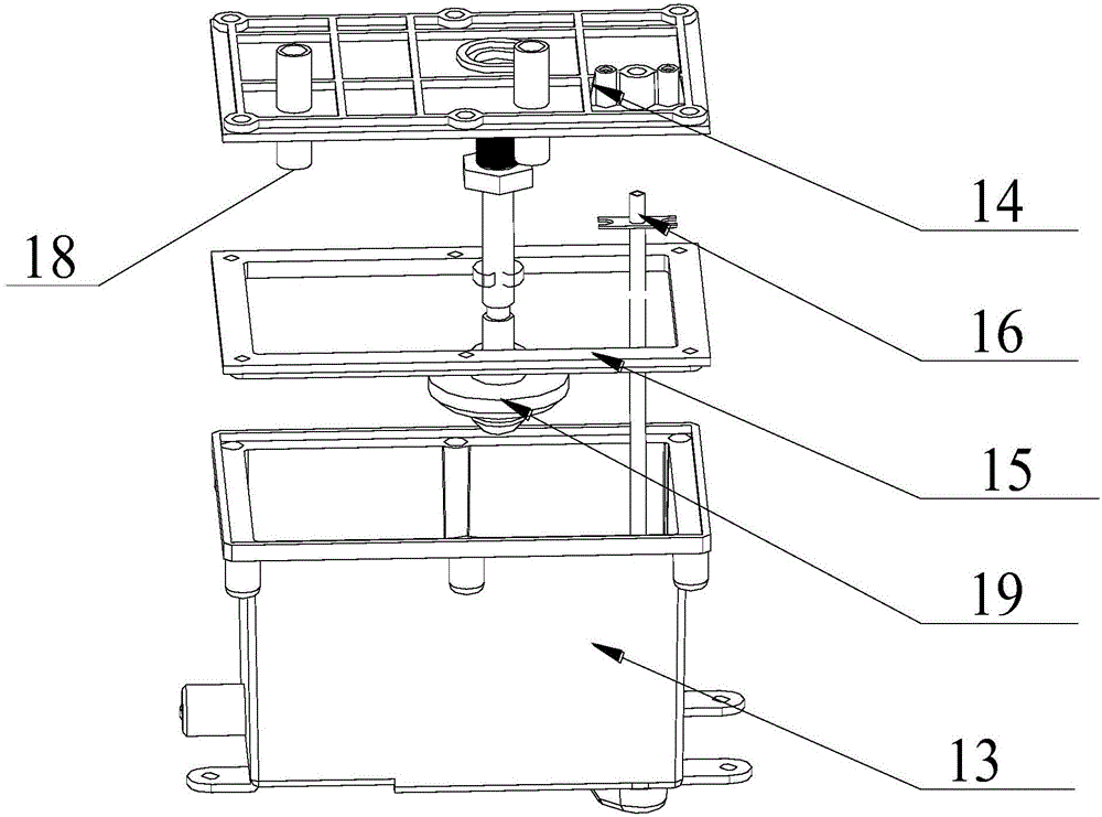 Steamer and water storage box device thereof