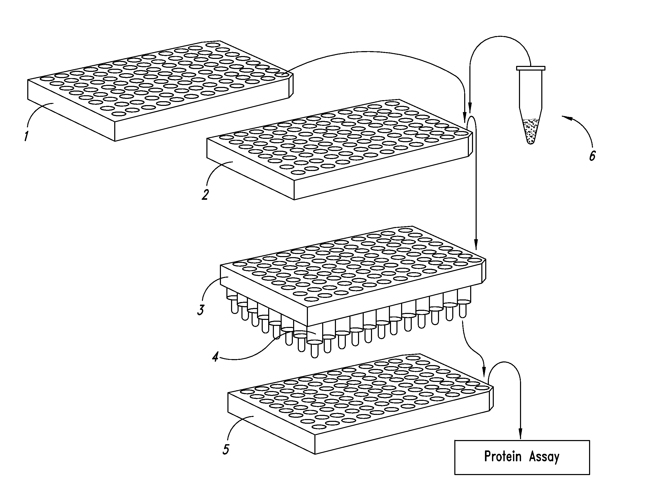 Methods and kits for screening protein solubility