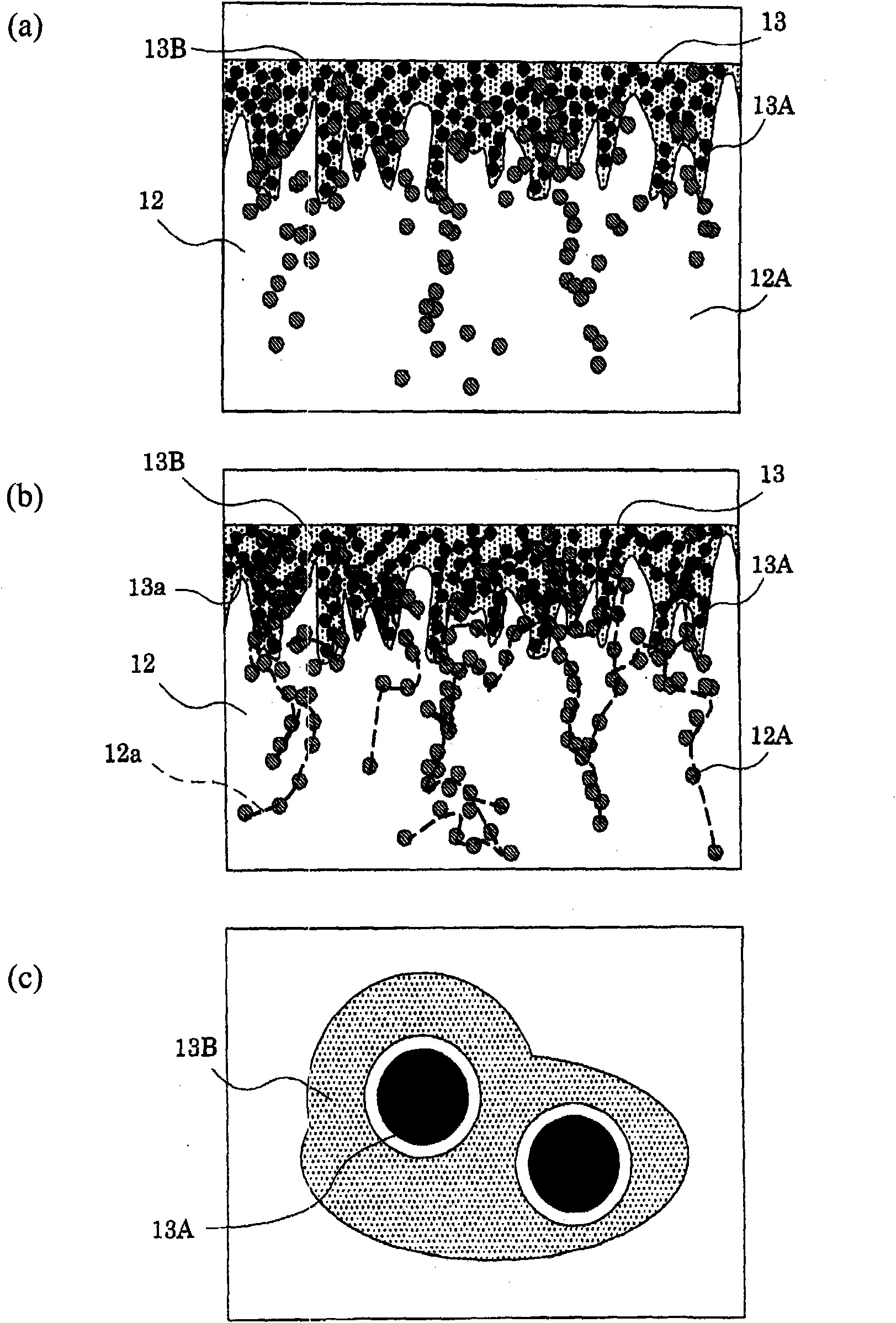 Conductive rubber member