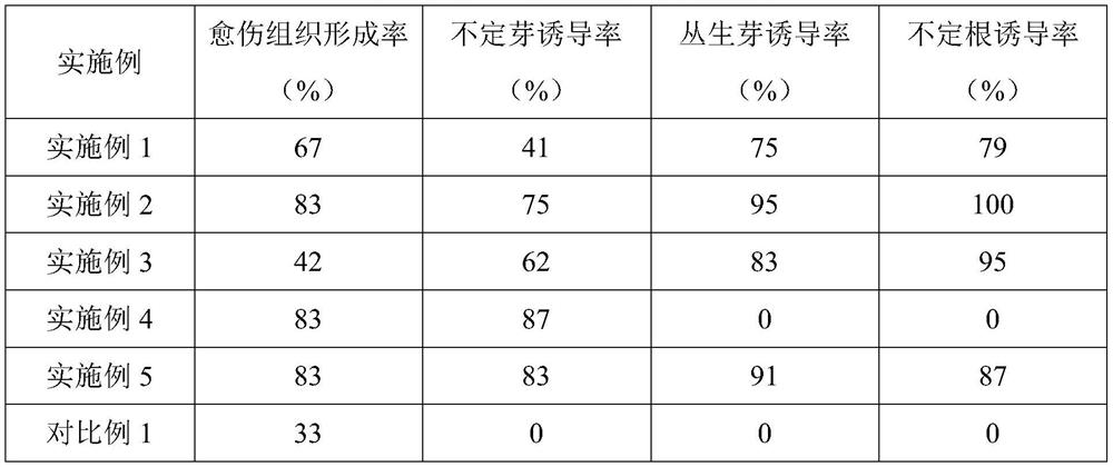 A kind of special-shaped jade leaf golden flower tissue culture rapid propagation medium and culture method