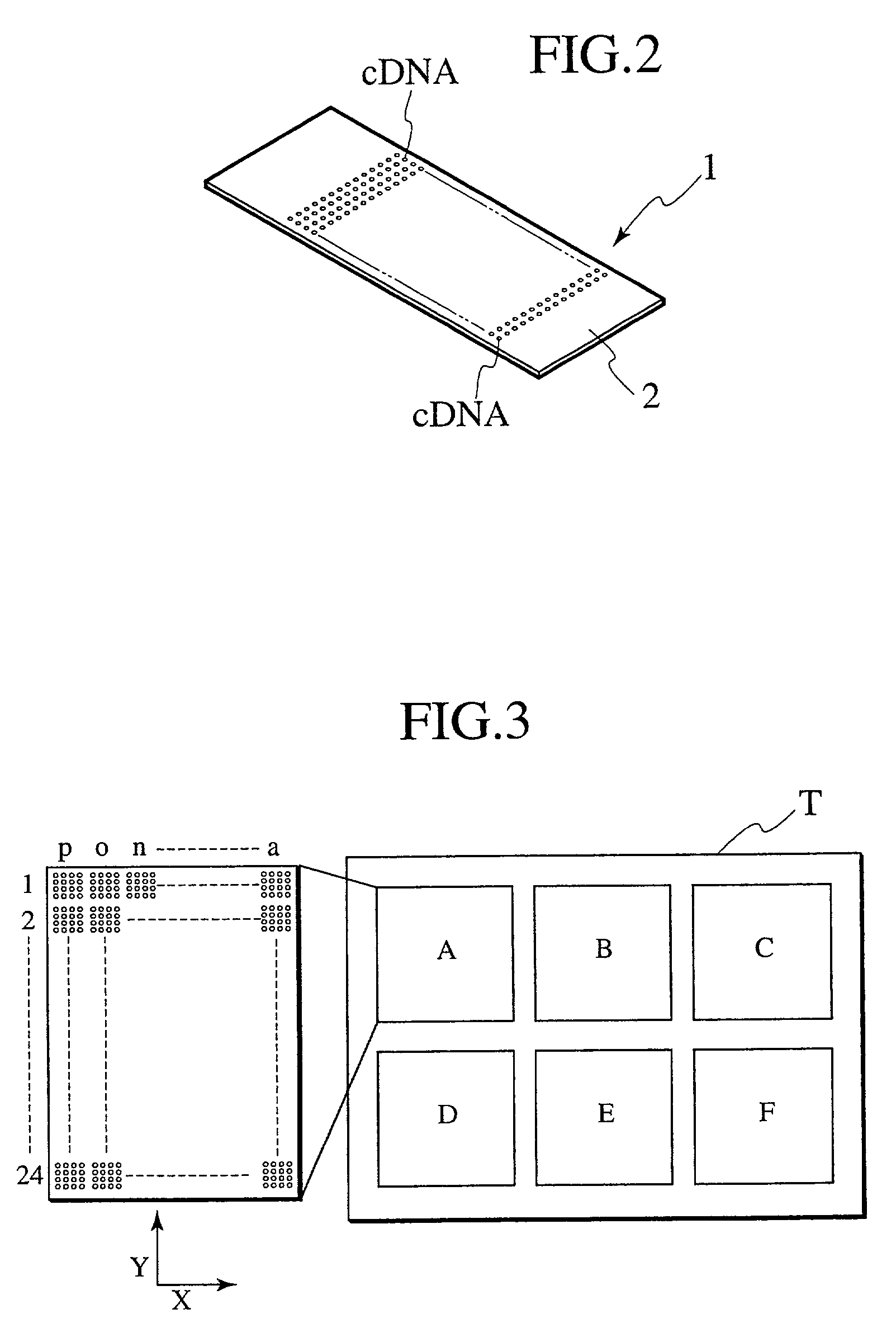 Probe reactive chip, apparatus for analyzing sample and method thereof
