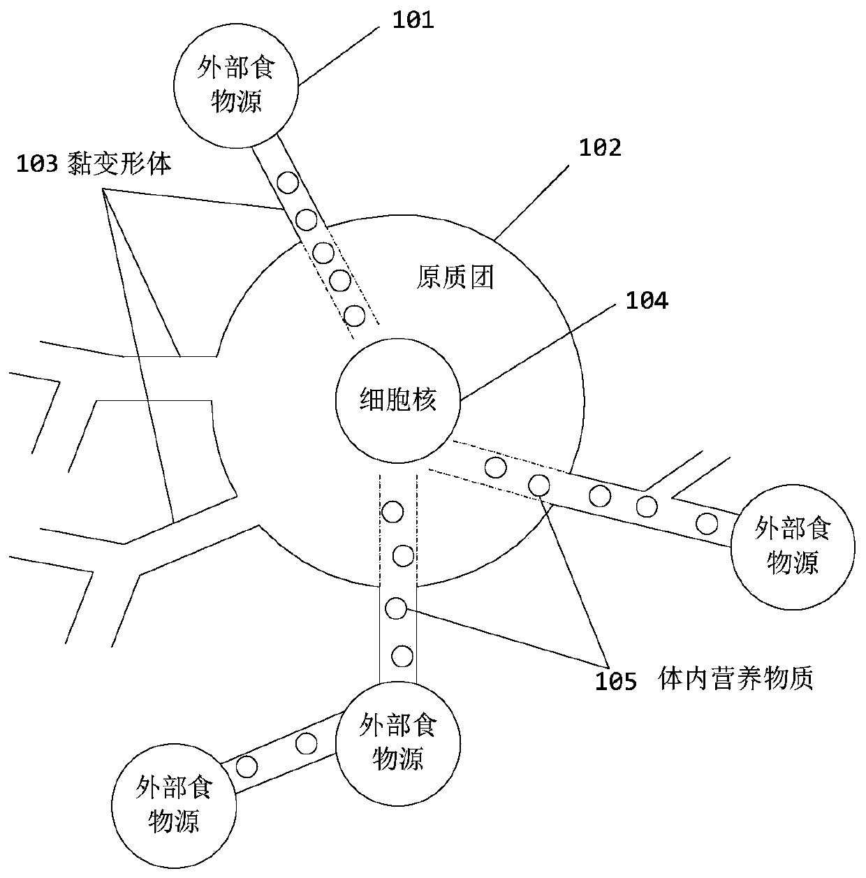 Traffic network vulnerability problem bionic optimization method based on myxomycete foraging behaviors