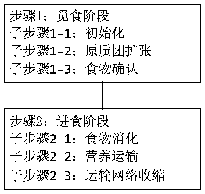 Traffic network vulnerability problem bionic optimization method based on myxomycete foraging behaviors