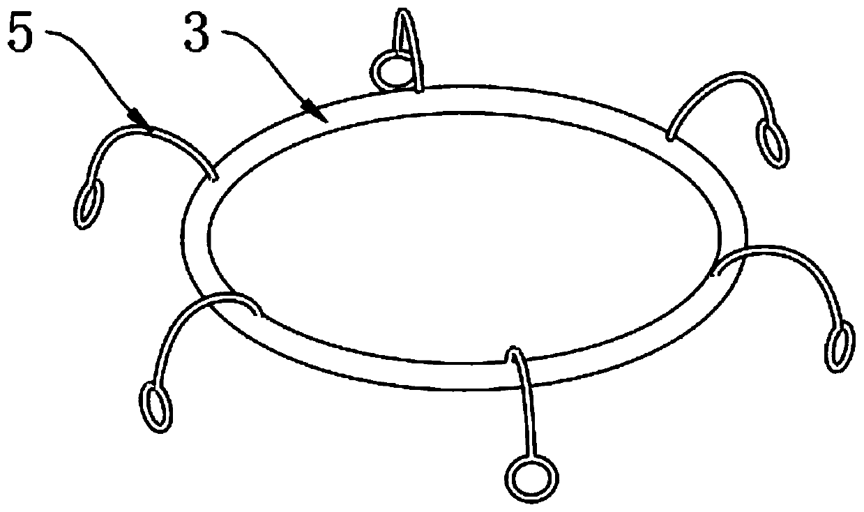 Device special for preventing foreign matters in annular space of spent fuel dry storage sealed storage tank