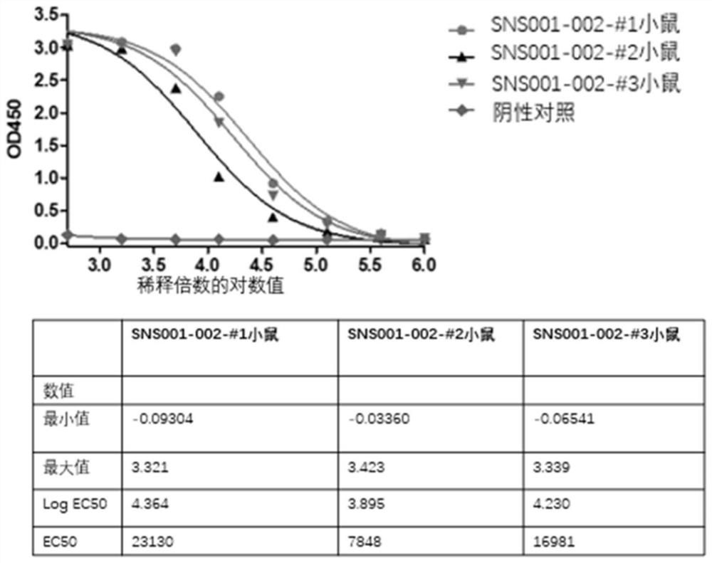 CD123 binding protein, CAR containing CD123 binding protein and application thereof