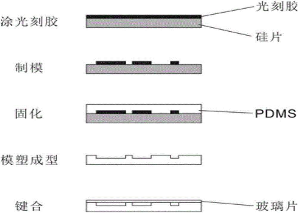 Method for preparing micro-fluidic chip template