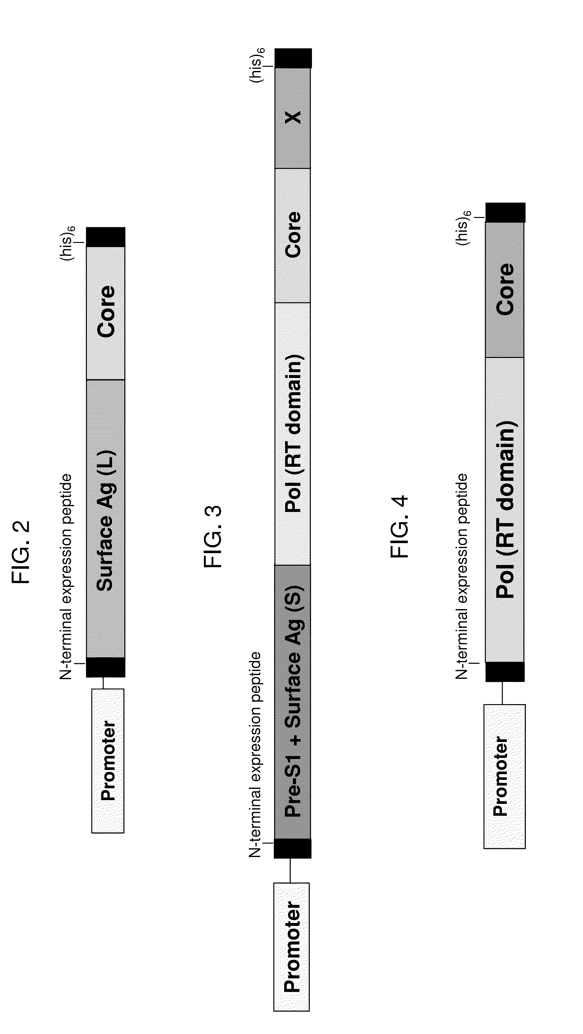 Compositions and Methods for the Treatment or Prevention of Hepatitis B Virus Infection