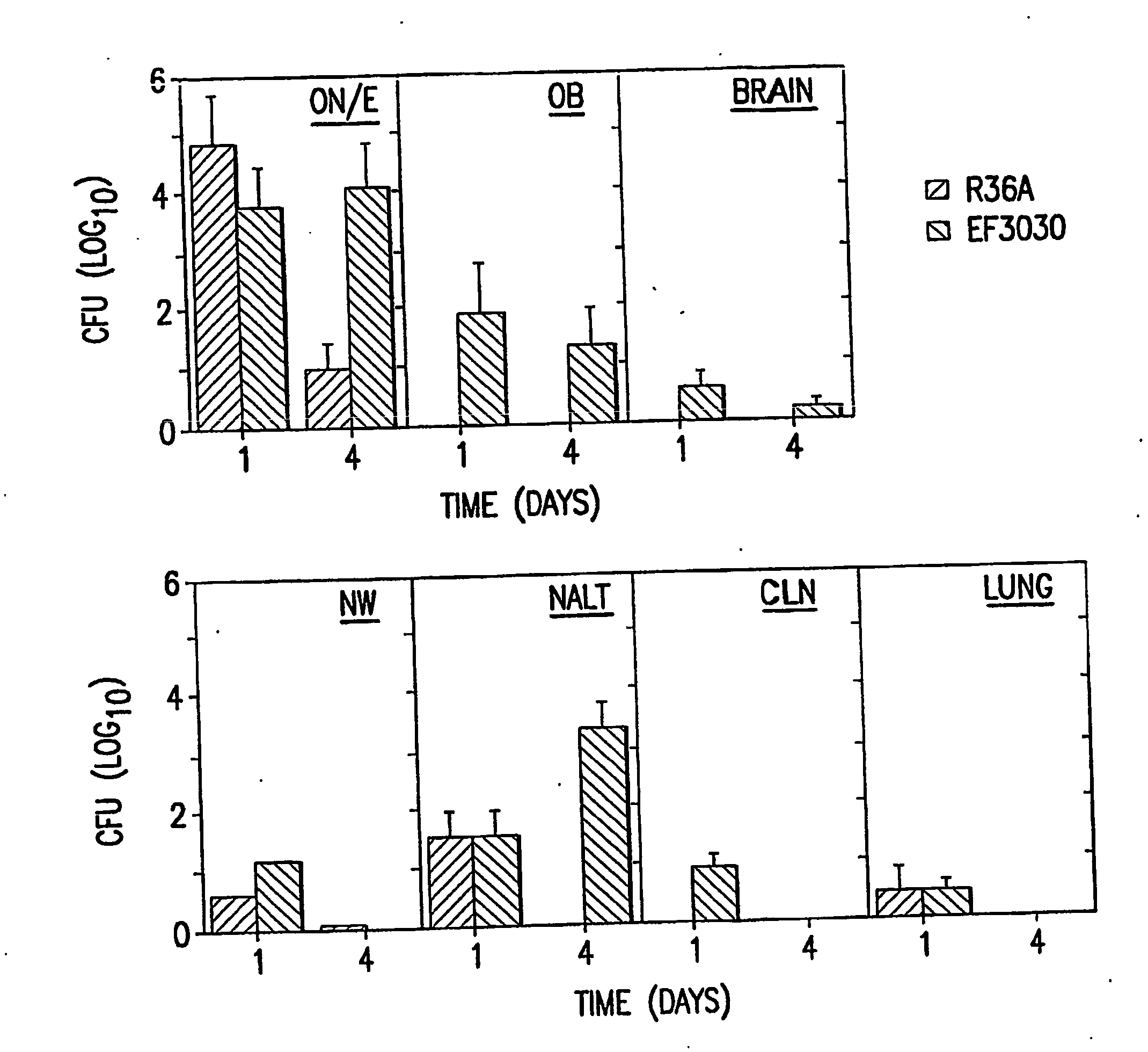 Compositions For Reducing Bacterial Carriage And Cnc Invasion And Methods Of Using Same