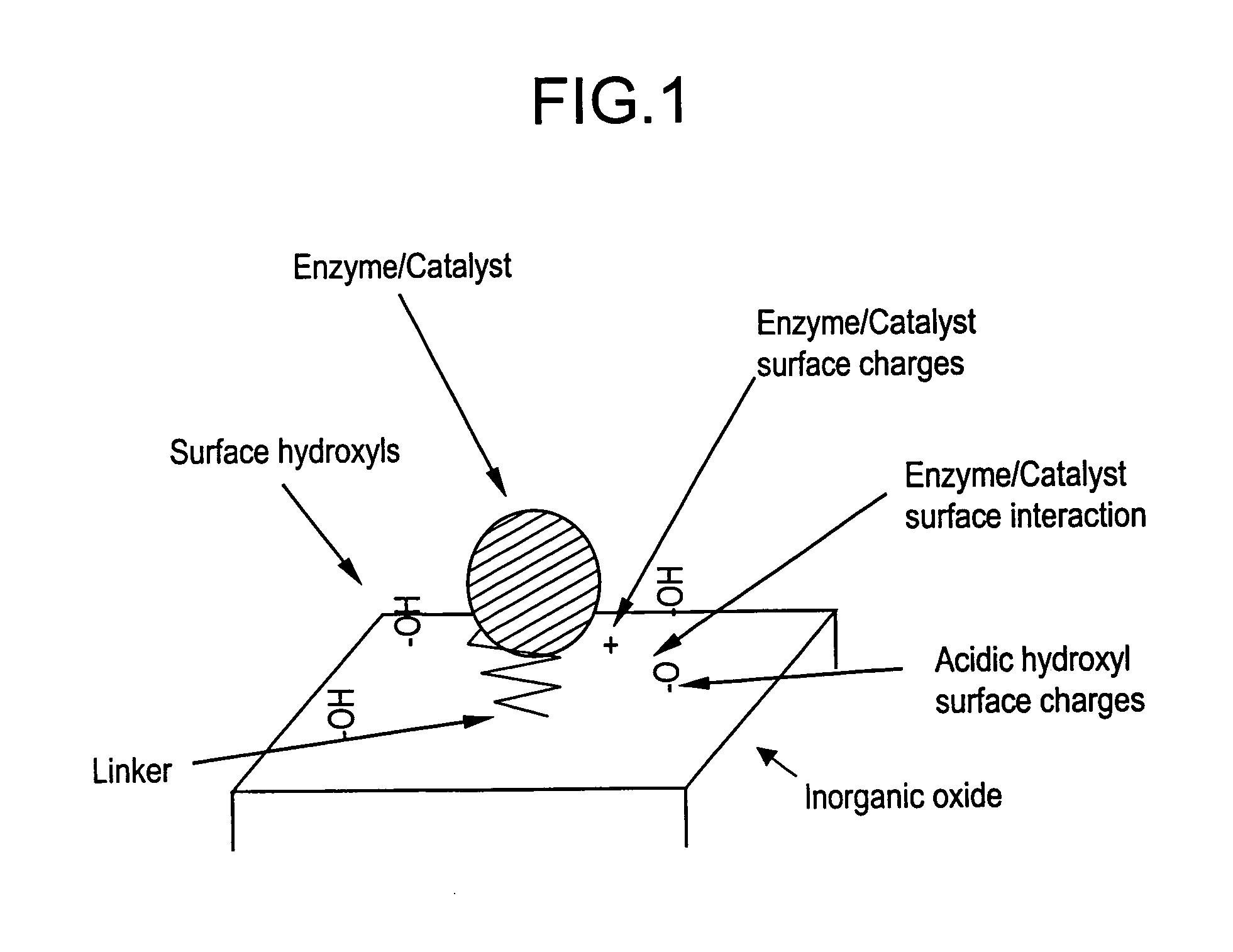 Supported catalyst systems