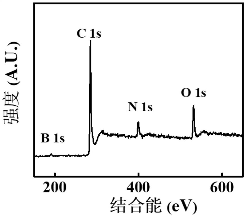 BCN two-dimensional nano sheet enhanced biological ceramic scaffold as well as preparation method and application thereof