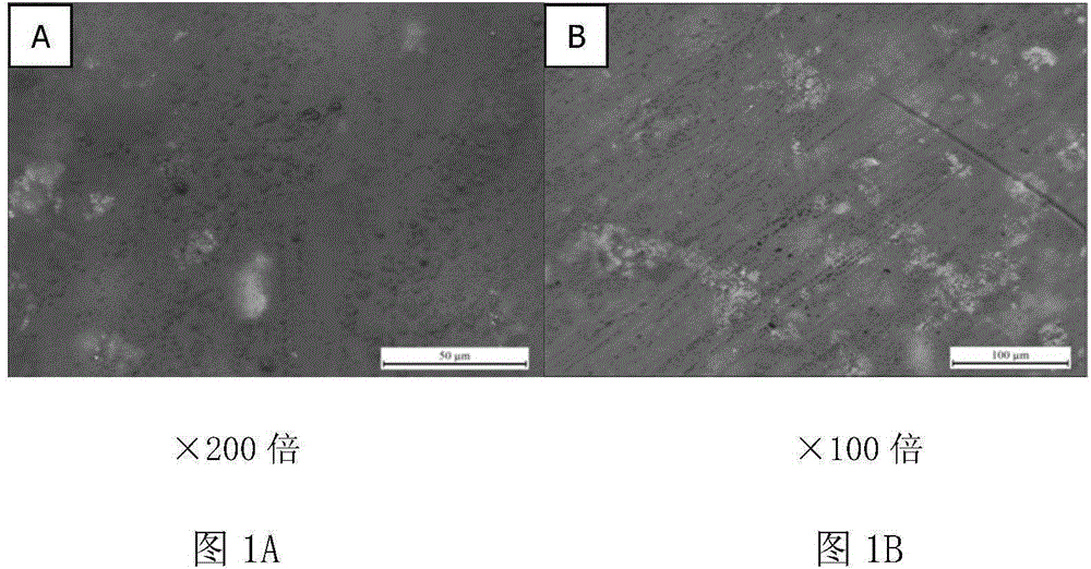 Preparation of enamel coating modified by rare earth doping and nanometer effect