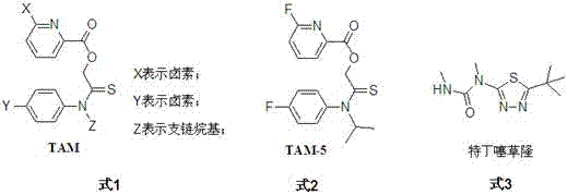 A kind of synergistic herbicide composition