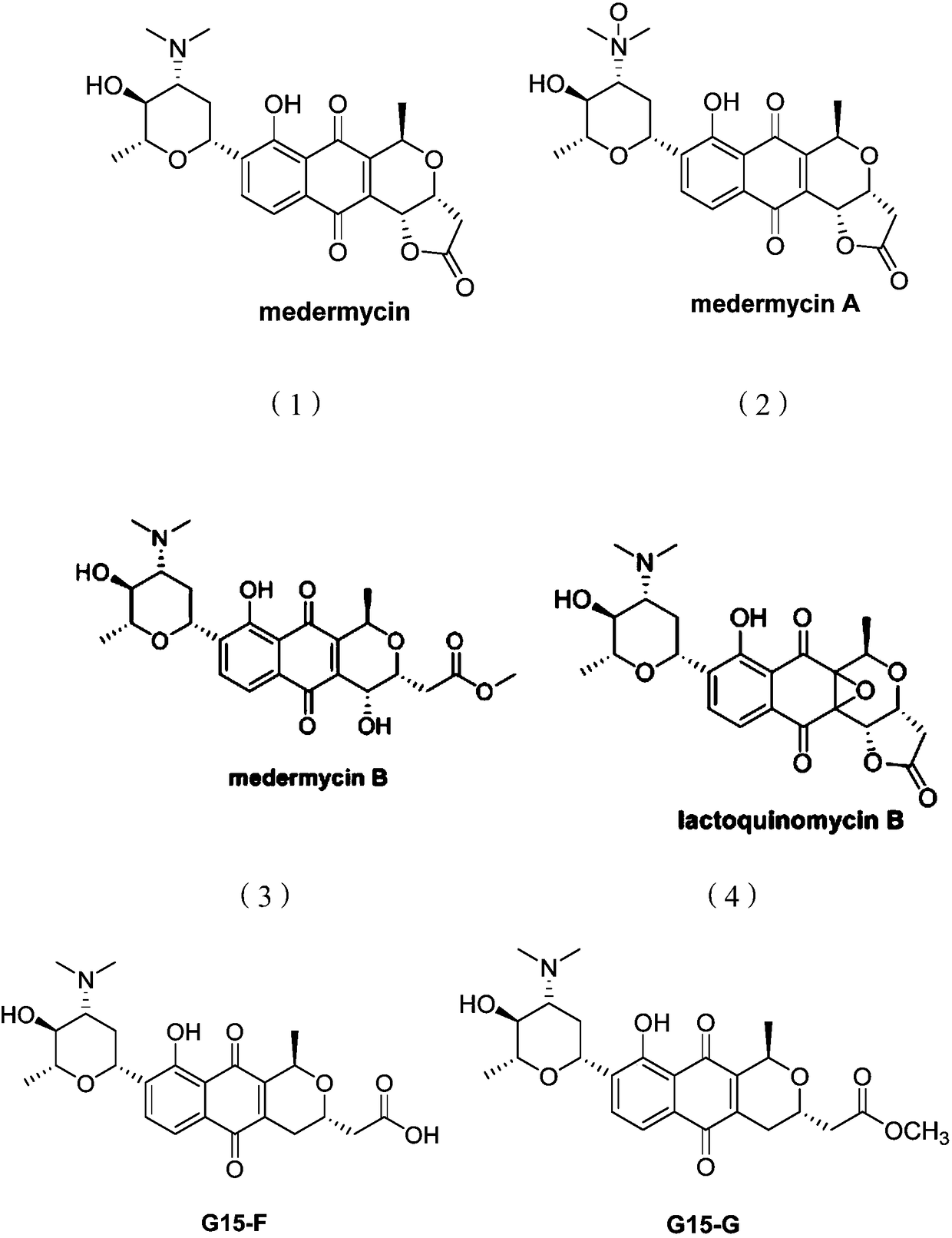 Medermycin compounds as well as preparation method and application thereof