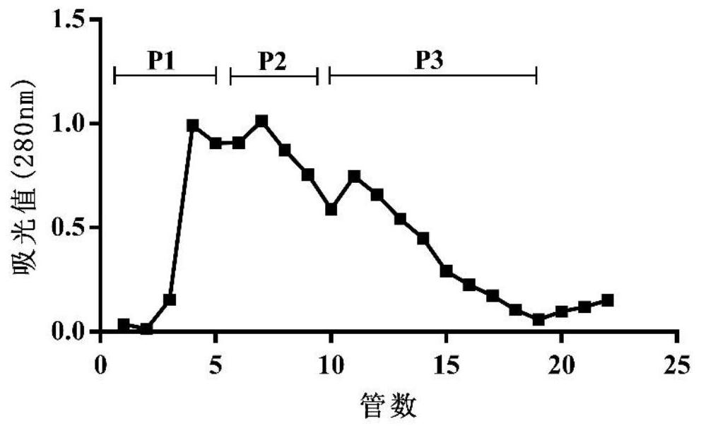 A kind of peanut antioxidant polypeptide and preparation method thereof