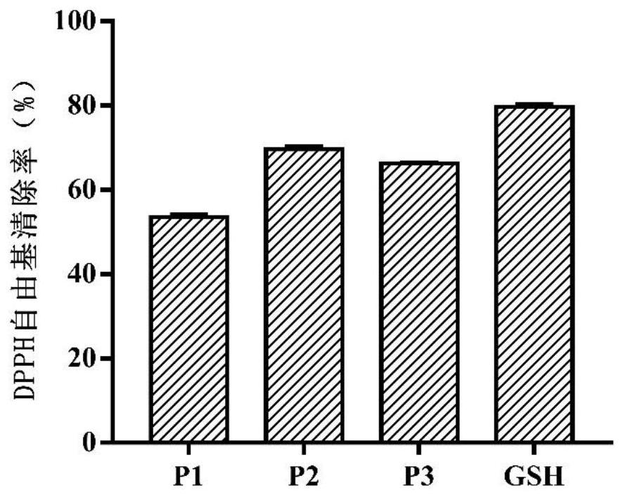 A kind of peanut antioxidant polypeptide and preparation method thereof