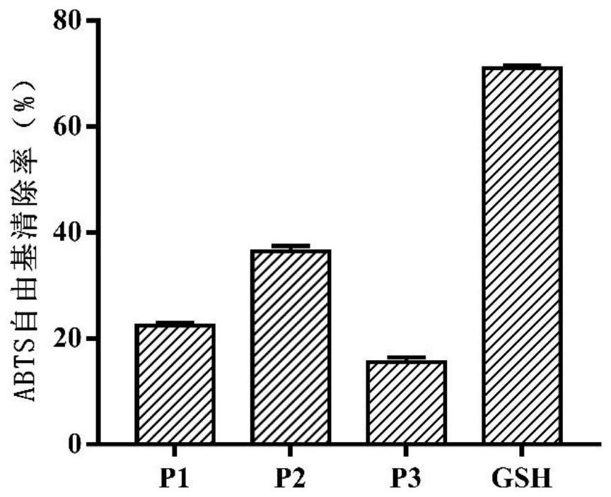 A kind of peanut antioxidant polypeptide and preparation method thereof