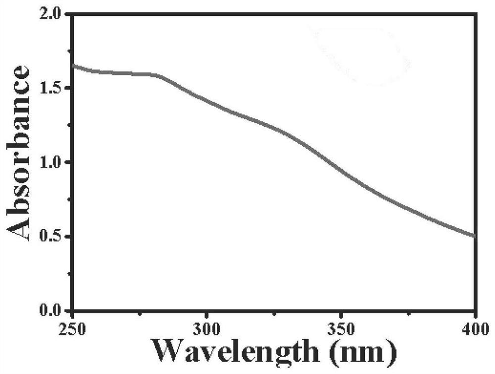 Polymeric natural polyphenol type sunscreen gel and preparation method thereof