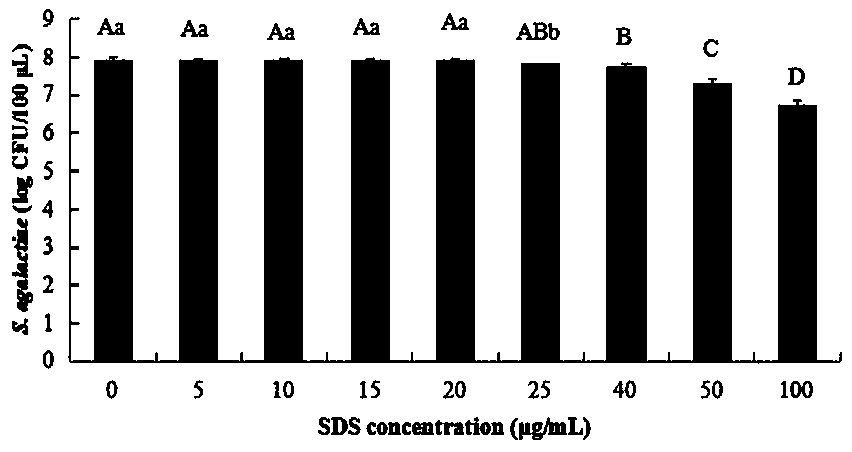Method for detecting living streptococcus agalactiae in milk by SDS-PMA-qPCR (sodium dodecyl sulfate-propidium monoazide-quantitative polymerase chain reaction) method