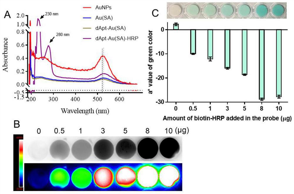 Detection reagent and detection method for Zika virus