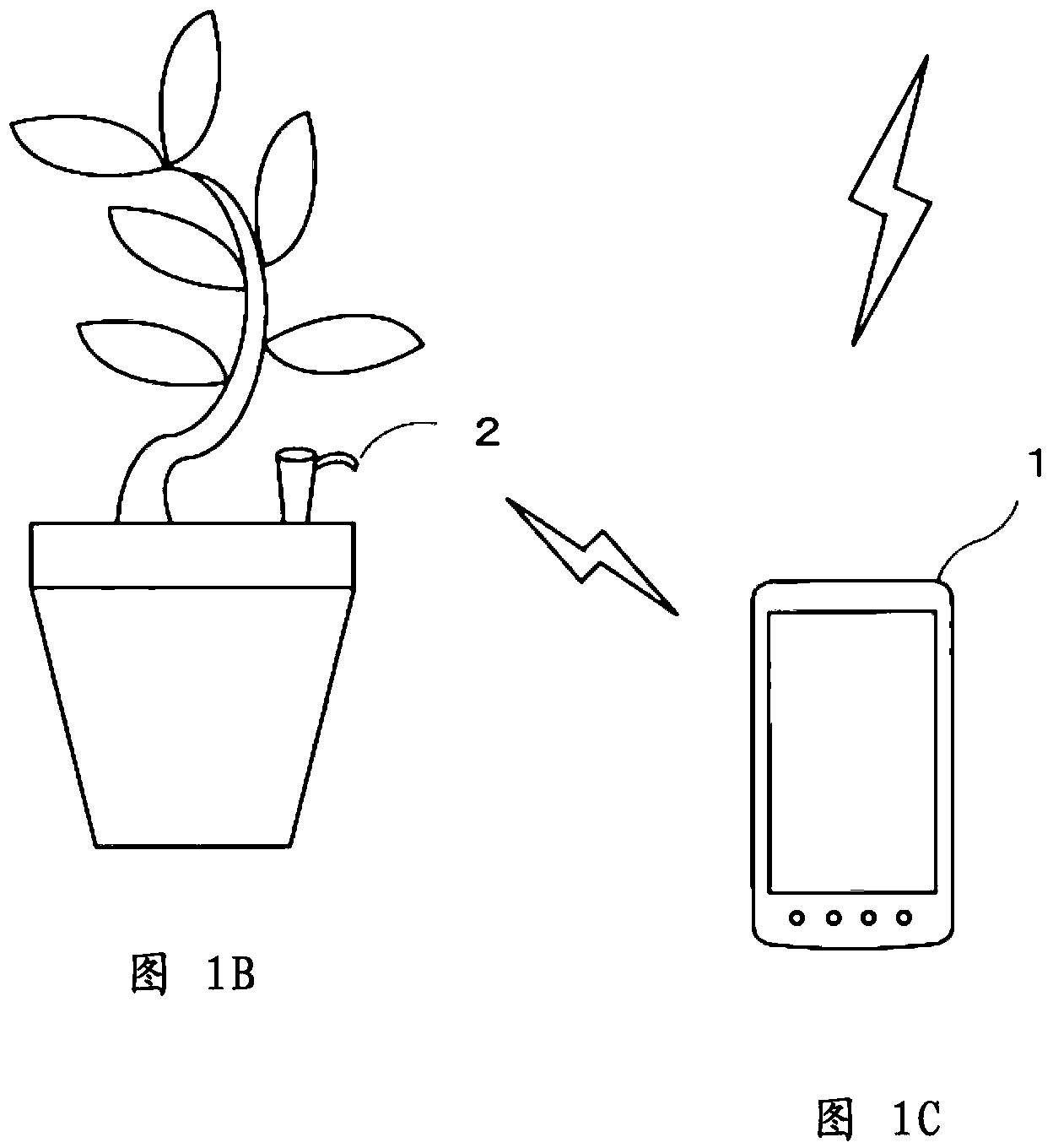 Information terminal device, growth management system and growth management method