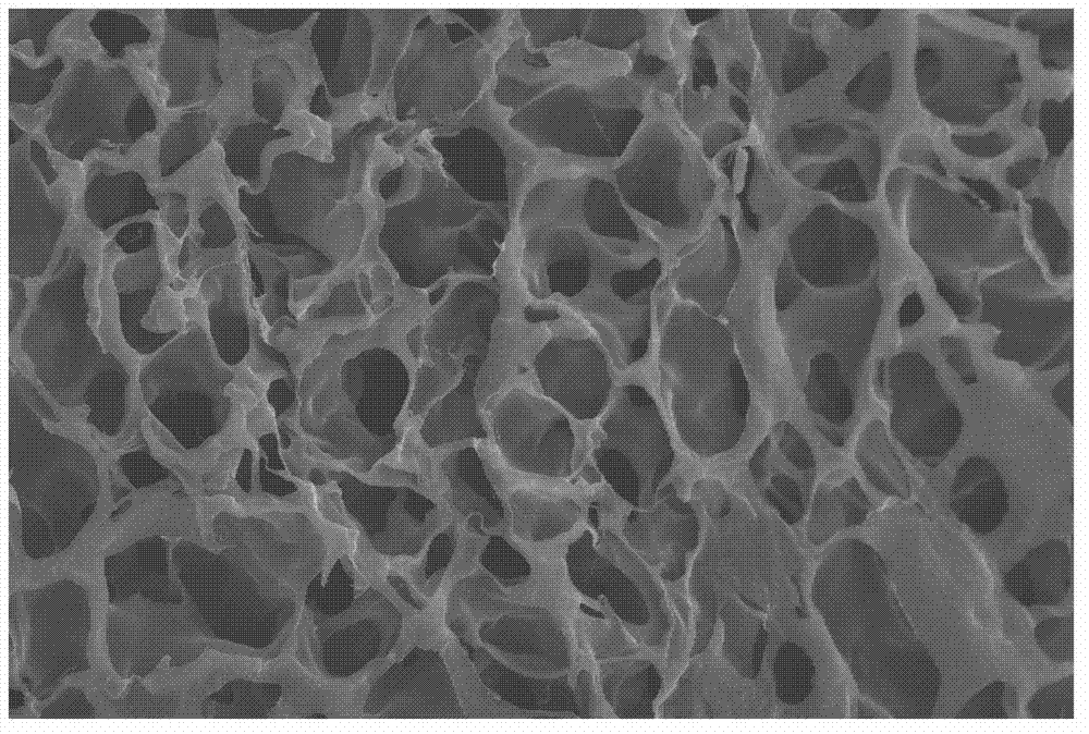 Functional chitosan scaffold with surface charge tunability as filtering medium