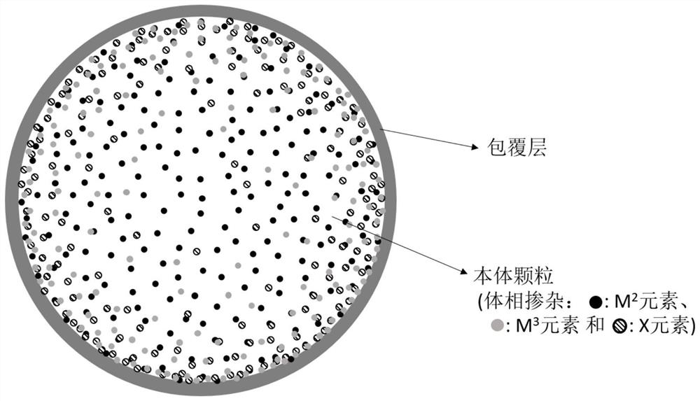 Positive electrode active material, preparation method thereof, positive electrode plate and lithium ion secondary battery