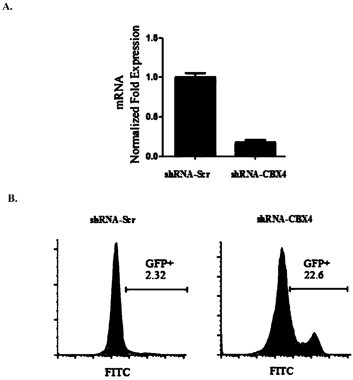 Application of CBX4 used as HIV-1 latent infection activation target
