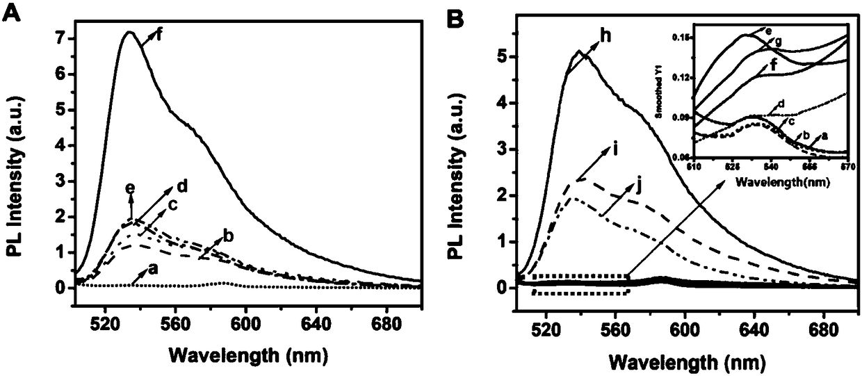 Method for detecting PARP-1 (Poly ADP-Ribose Polymerase-1) activity based on fluorescent dye TOTO-1 analysis