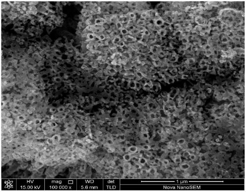 Preparation method and application of 1T phase molybdenum disulfide supported titanium dioxide nanotube array