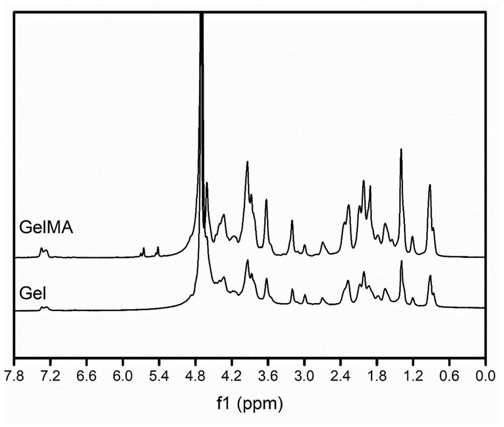 Preparation method of double-protein hydrogel