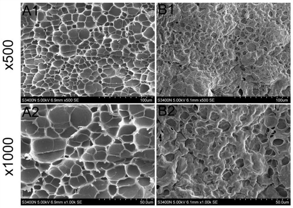 Preparation method of double-protein hydrogel