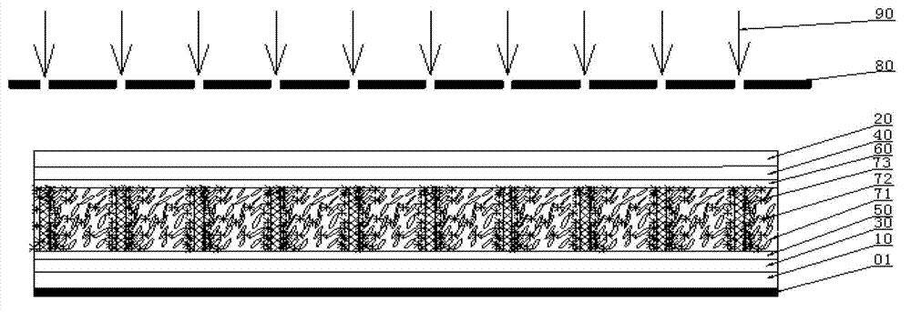 Cholesteric flexible liquid crystal display device and preparation method thereof