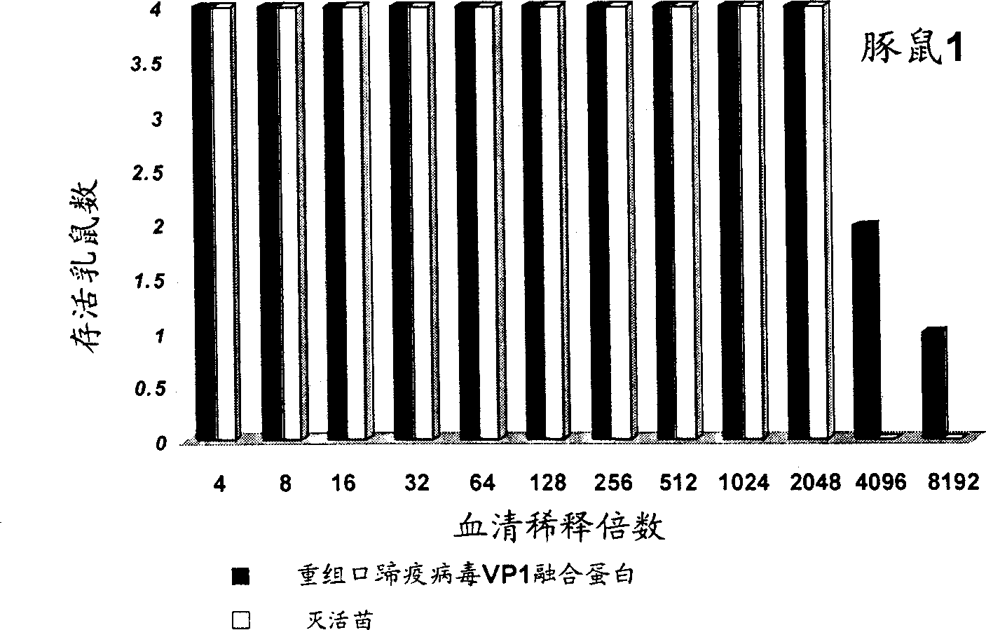 Recombinant foot-and-mouth disease virus VP1 confluent protein vaccine