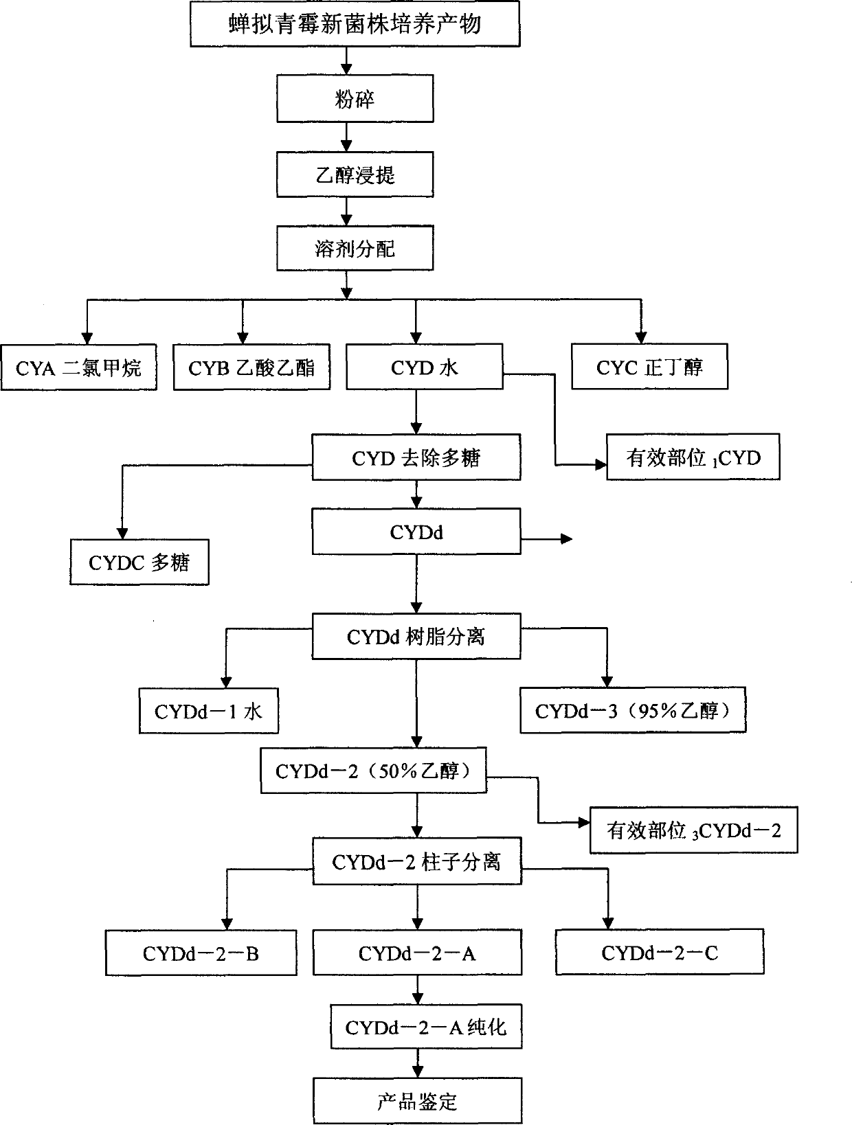 Culture of Chansi mould strains and extraction and use of anagentic compound therefrom