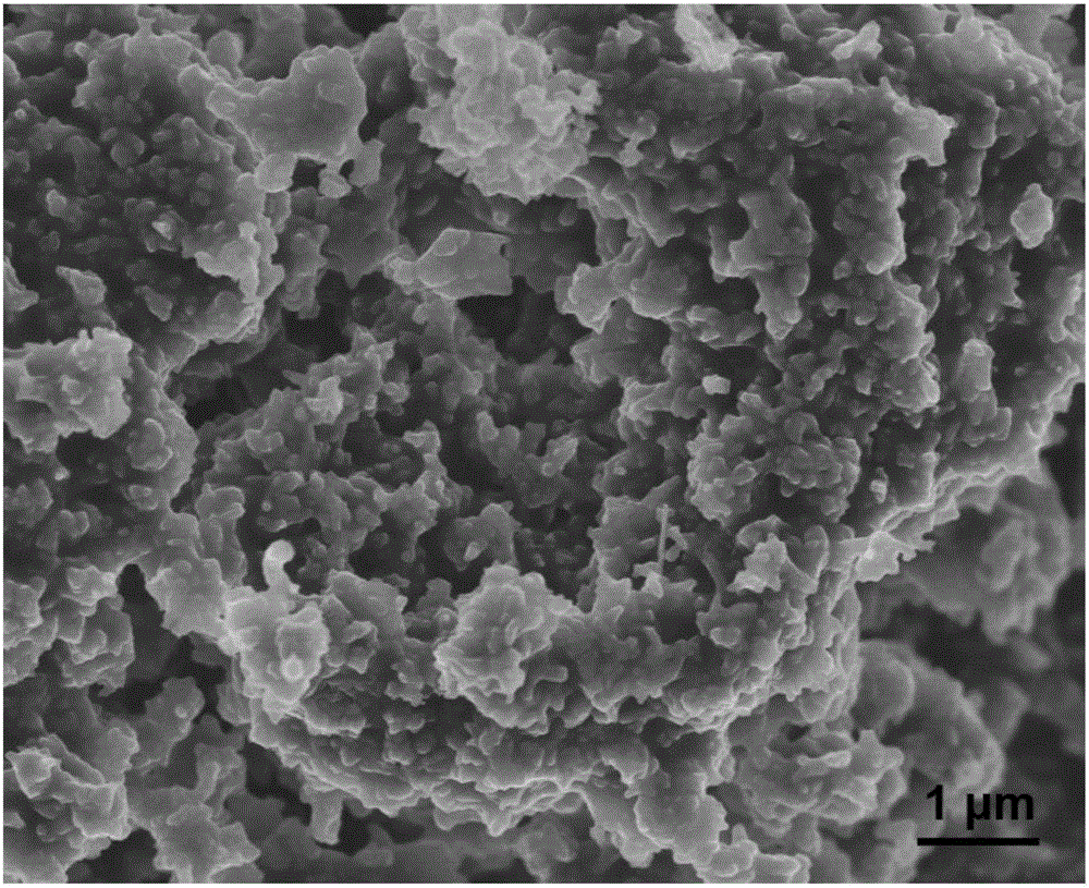 Nitrogen-containing carbon material for supercapacitosr, preparation method thereof, and supercapacitor electrode material