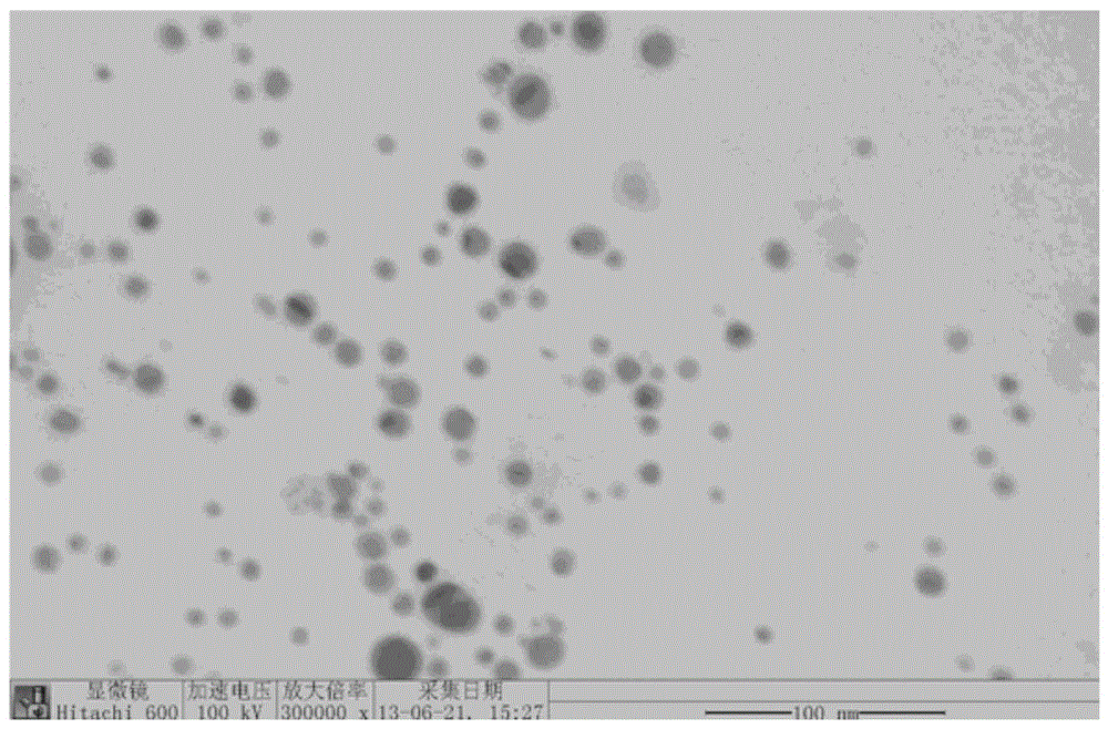 Nanogold gene carrier protected by liposome and preparation method thereof