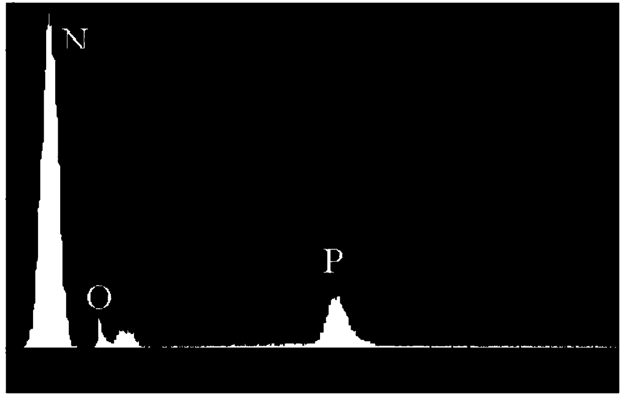 Phospholipid organic polymer whole material and preparation method and application thereof