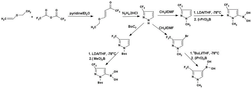 Method for preparing 3-trifluoromethyl pyrrole boric acid