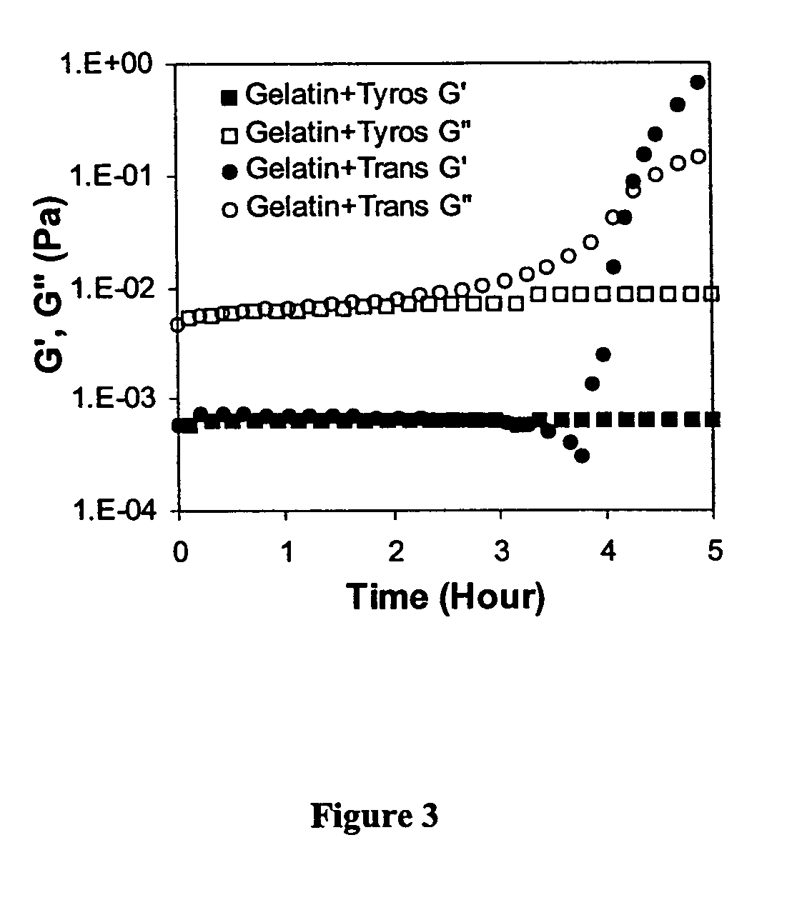 Polysaccharide-based polymers and methods of making the same