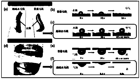 Underwater siphon material and preparation method and application thereof