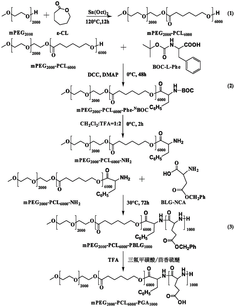 Ph-responsive biodegradable polymer vesicles and its preparation method and application