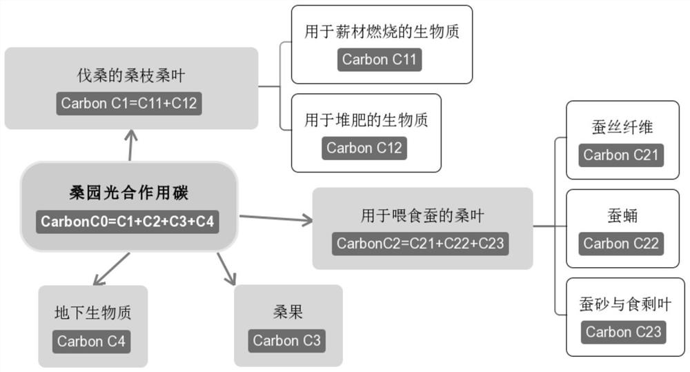 Modeling method for carbon sequestration accounting of ecological system of mulberry field
