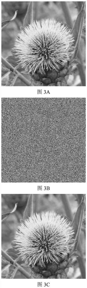 Optical Image Encryption and Decryption Method Based on Compound Chaos and Quantum Chaos